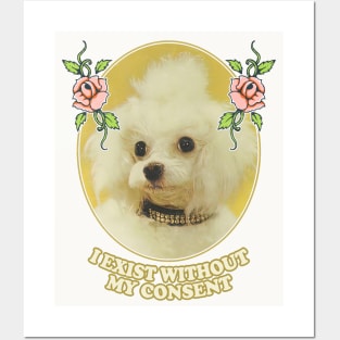 I Exist Without My Consent - Nihilist Poodle Posters and Art